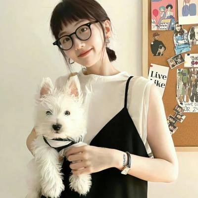 科搜研之女第23季